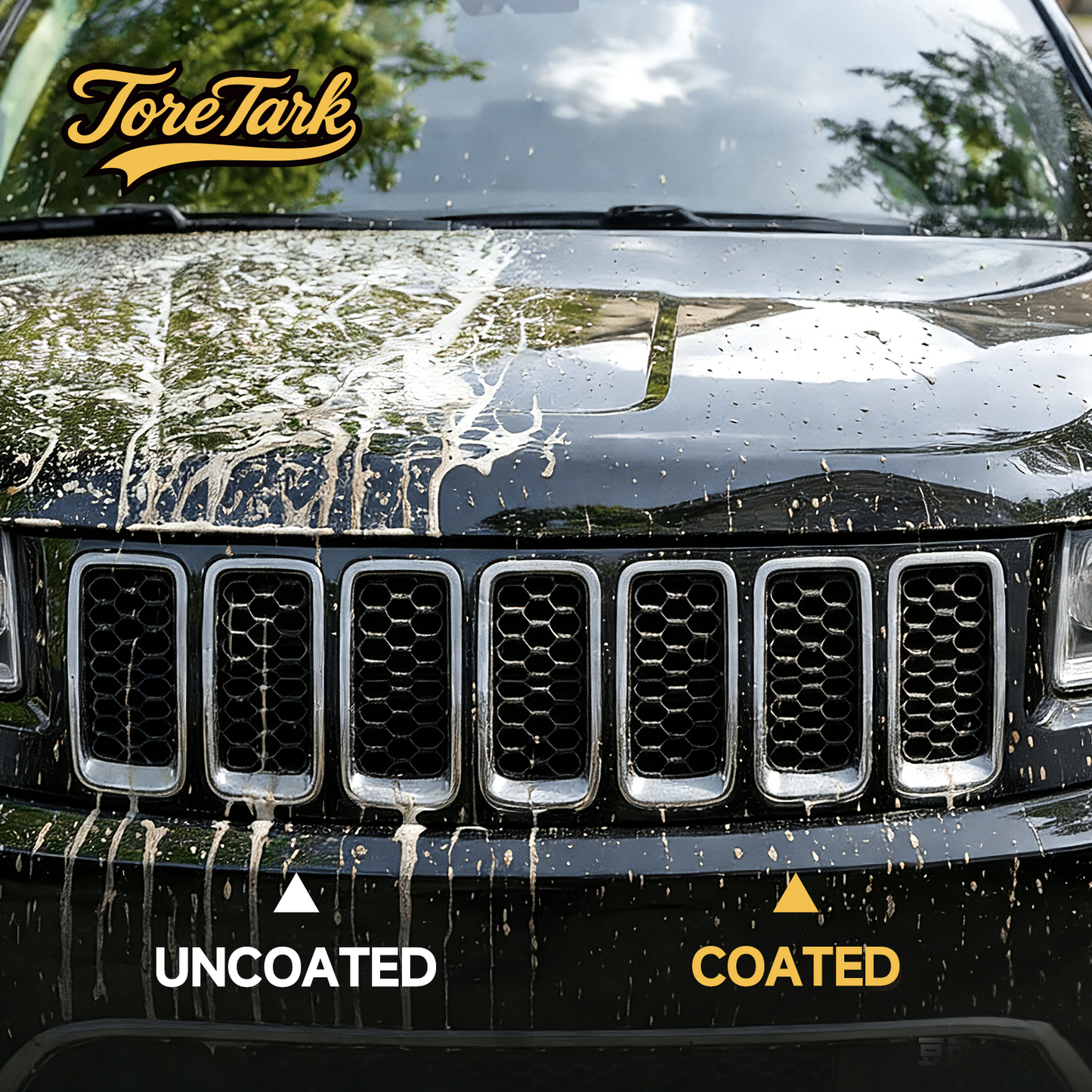 Toretark Ceramic Coating for Cars