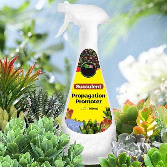 300ml Succulent Fertilizer Spray