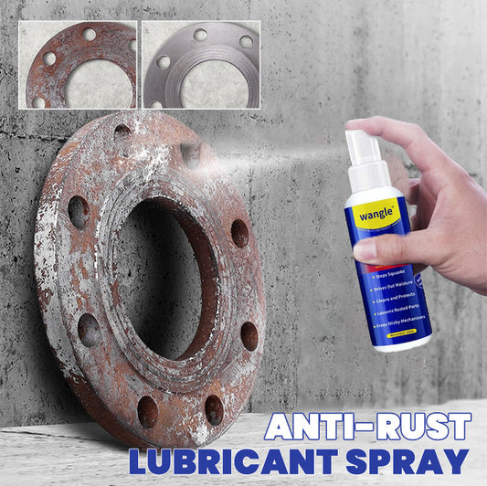 Anti-Rust Lubricant Spray & Rust Remover