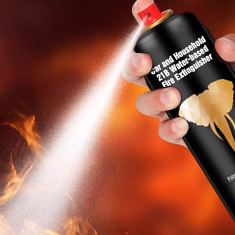 🔥2025 New Arrival🔥 Car and Household 21B Water-based Fire Extinguisher